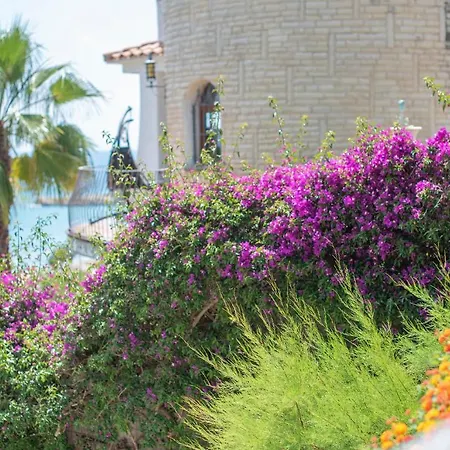 Tarracohomes, Th128 Con Vistas A La Playa La Mora Villa